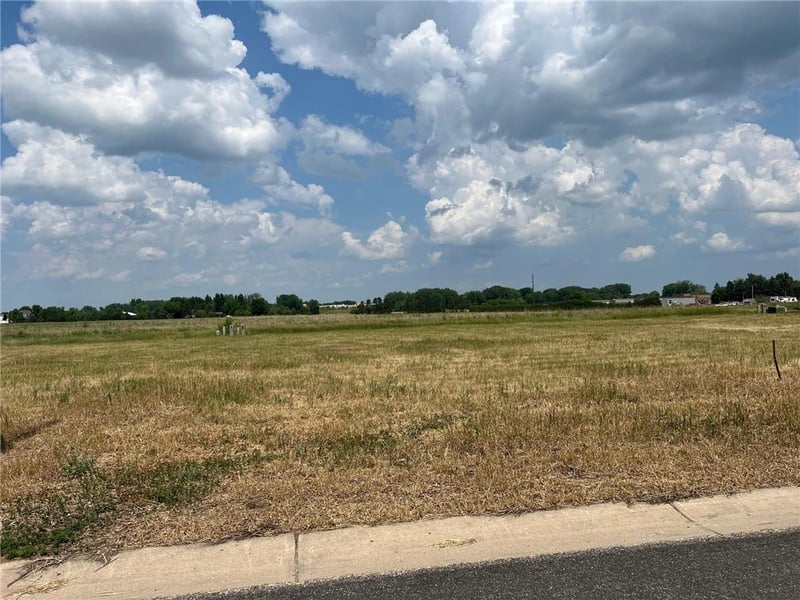 709 W 8th St, Litchfield, MN 55355