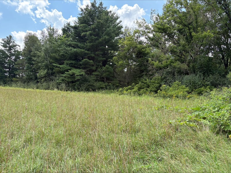 Lot 3 and 4 28 1/16th Avenue/gatehead Rd, Birchwood, WI 54817