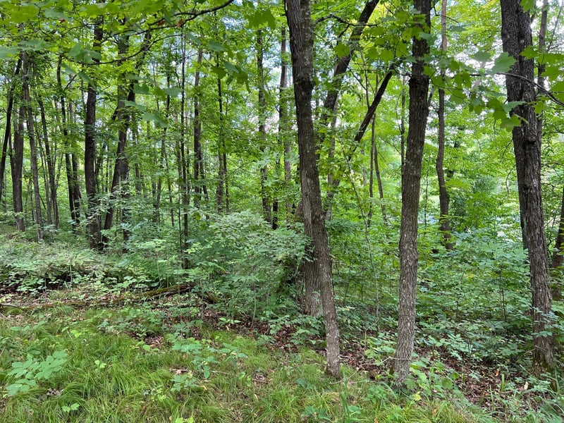 00000 River Island Rd, Pine City, MN 55063