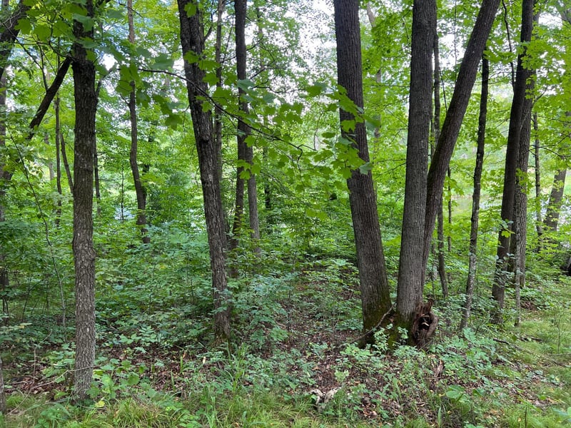 00000 River Island Rd, Pine City, MN 55063