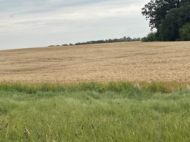 TBD 400th St, Pelican Rapids, MN 56572