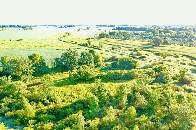 NAA 130th Ave, Ogilvie, MN 56358