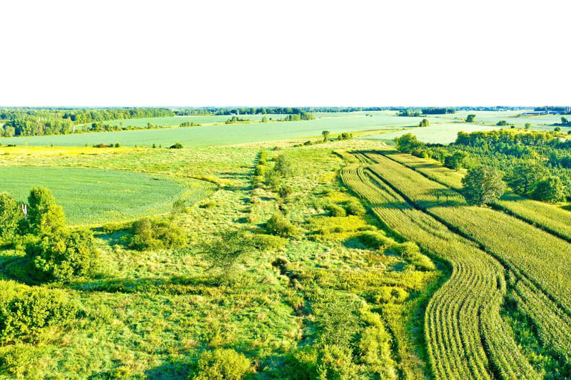 NAA 130th Ave, Ogilvie, MN 56358