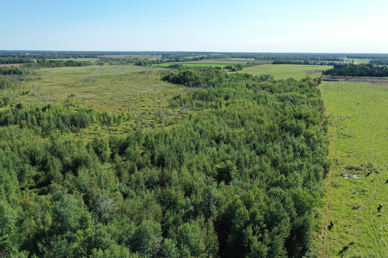 TBD 385th St, New York Mills, MN 56567
