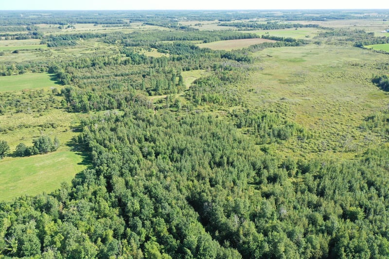 TBD 385th St, New York Mills, MN 56567