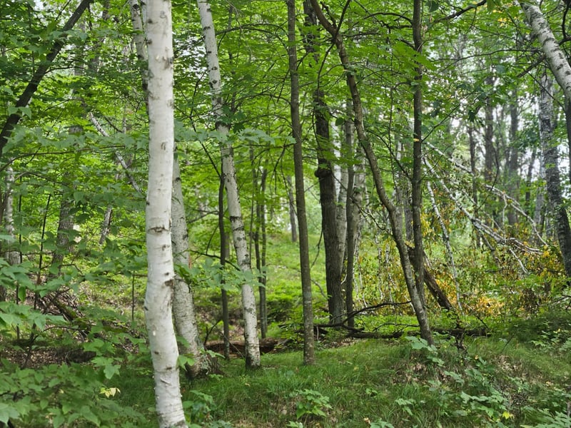 Tract A Richfield Rd SW, Pillager, MN 56473