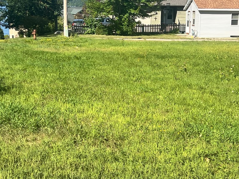 TBD Garden St, Walker, MN 56484