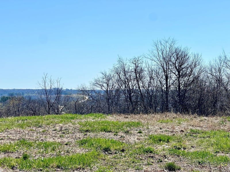 936 Overlook Dr, Preston, MN 55965