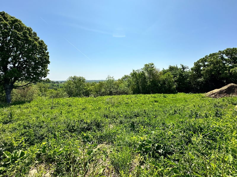 936 Overlook Dr, Preston, MN 55965