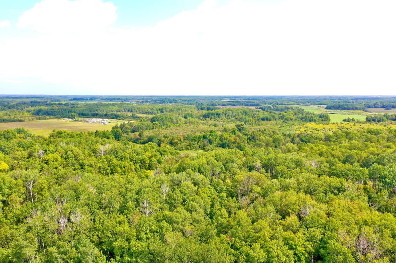 33622 Aspen Rd, Brook Park, MN 55007