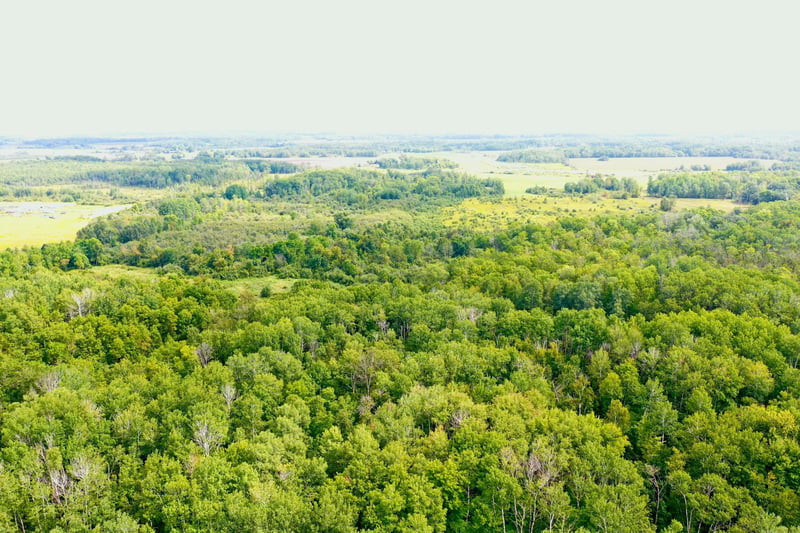 33622 Aspen Rd, Brook Park, MN 55007
