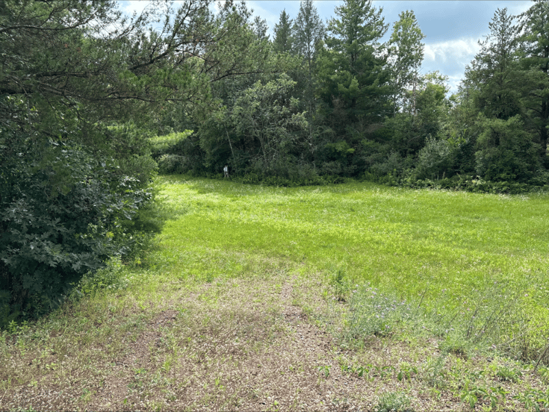2647 28 1/16 Avenue/gateshead Rd, Birchwood, WI 54817