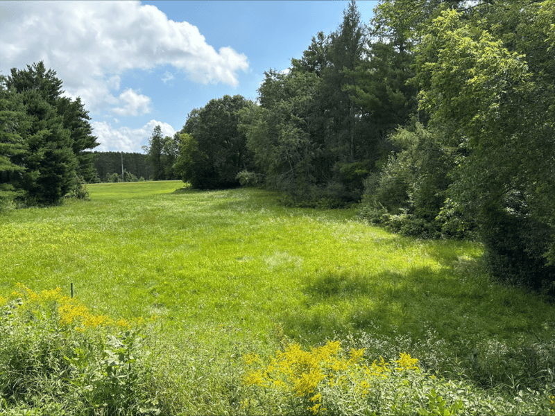 2647 28 1/16 Avenue/gateshead Rd, Birchwood, WI 54817