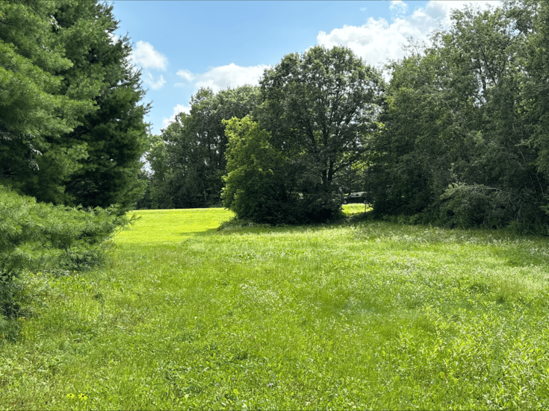2647 28 1/16 Avenue/gateshead Rd, Birchwood, WI 54817