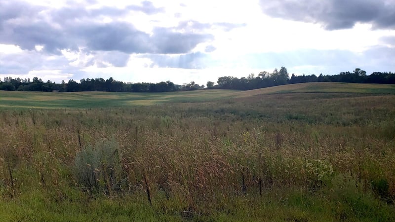 40xxx Placid Dr, Dent, MN 56528