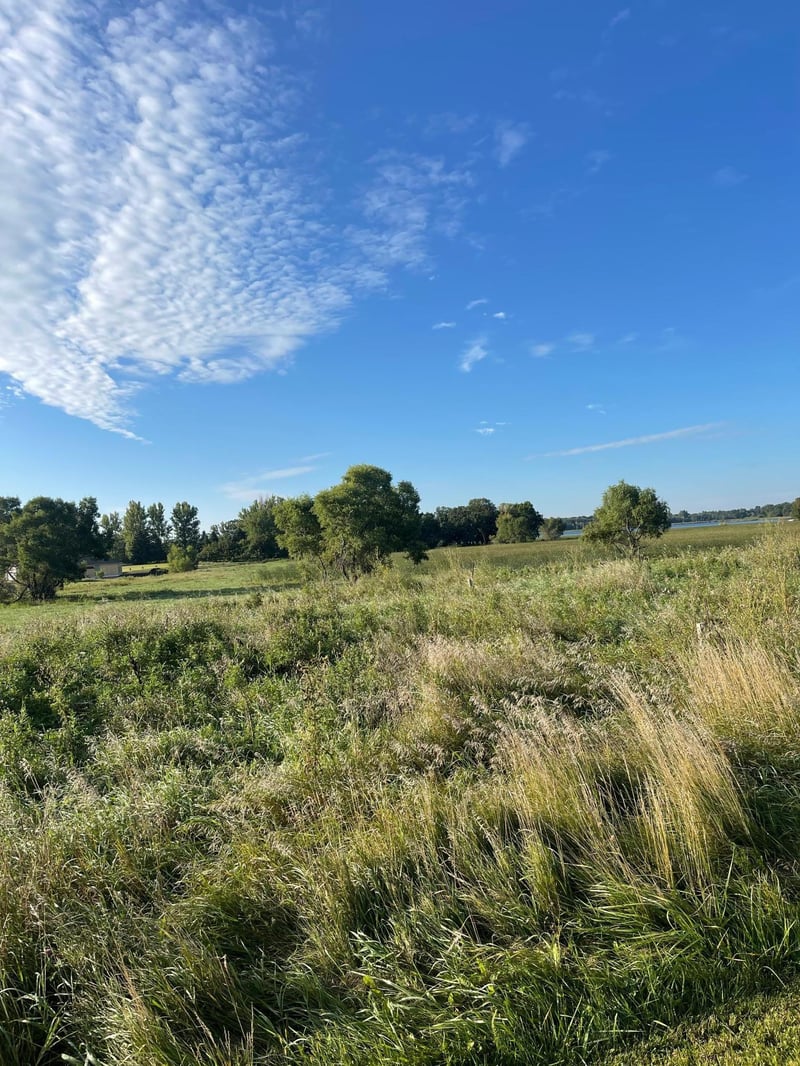 Lots 9 - 10 Hummingbird Ln SW, Alexandria, MN 56308