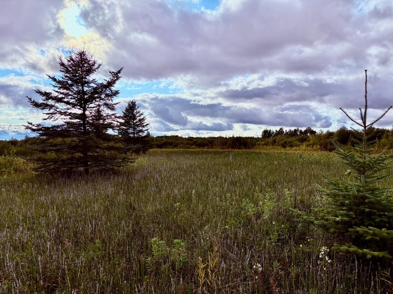TBD 7th St Sw, Baudette, MN 56623