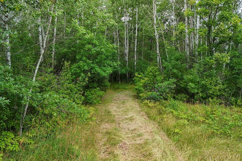5415 Park Preserve Trl NE, Bemidji, MN 56601