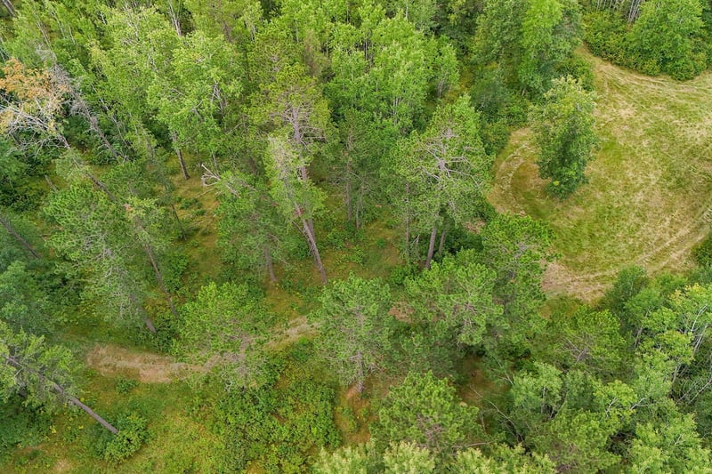 5415 Park Preserve Trl NE, Bemidji, MN 56601