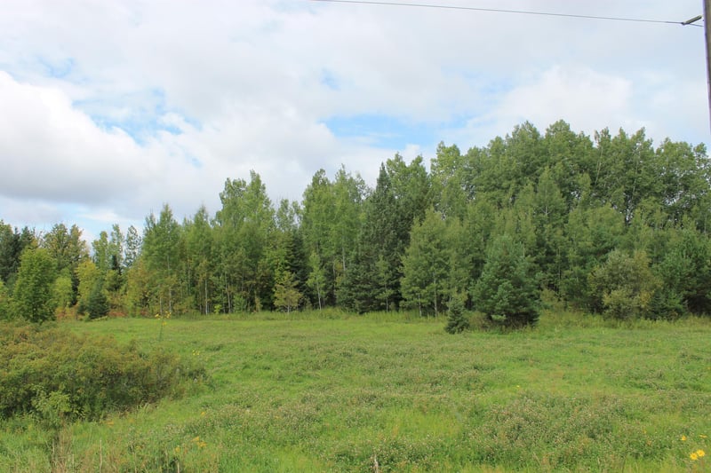 XXX Cty Rd 5, Effie, MN 56639