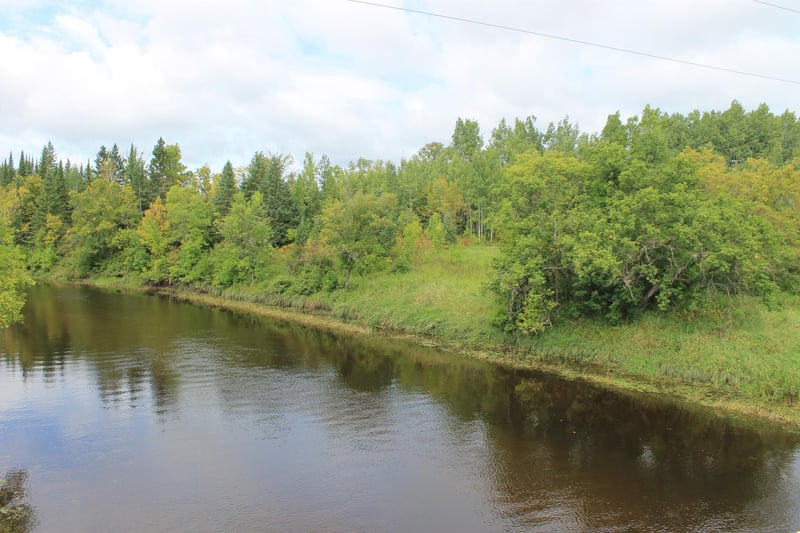 XXX Cty Rd 5, Effie, MN 56639