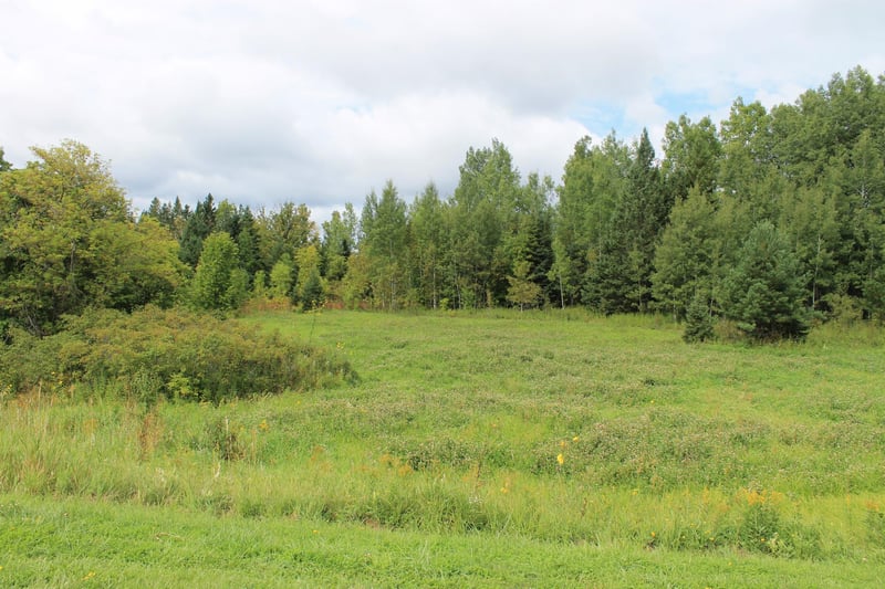 XXX Cty Rd 5, Effie, MN 56639