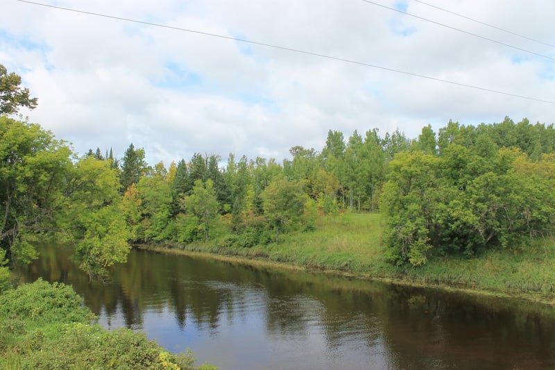 XXX Cty Rd 5, Effie, MN 56639