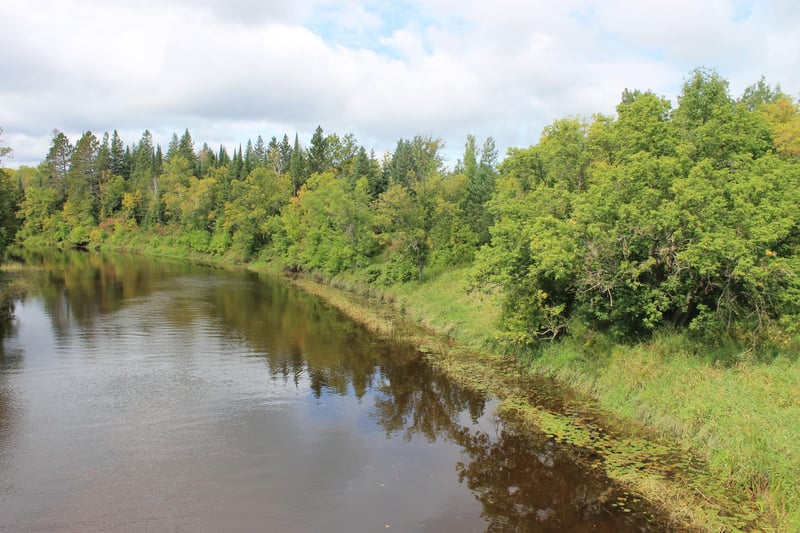 XXX Cty Rd 5, Effie, MN 56639