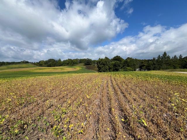 TBD Placid Dr, Dent, MN 56573