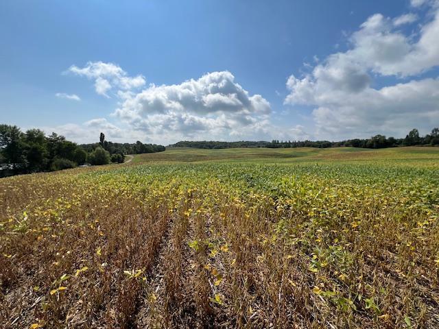 TBD Placid Dr, Dent, MN 56573