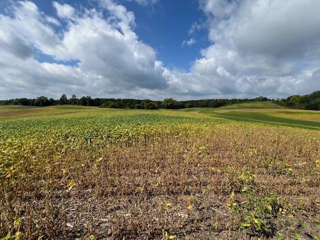 TBD Placid Dr, Dent, MN 56573