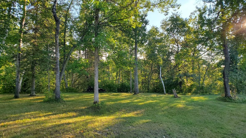 8763 Kabekona Ridge Dr NW, Walker, MN 56484