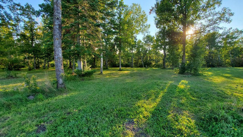 8763 Kabekona Ridge Dr NW, Walker, MN 56484