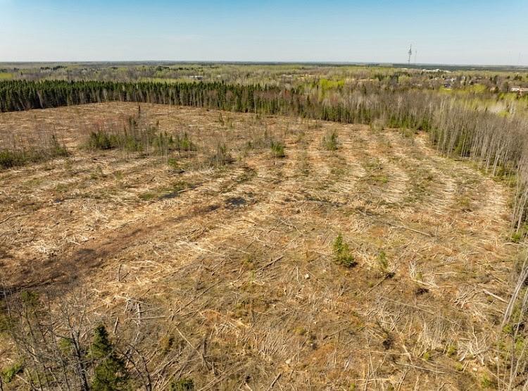 TBD Shorewood Dr, International Falls, MN 56649