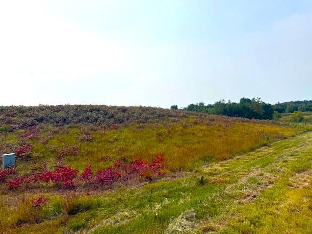 TBD 205th St, Battle Lake, MN 56515