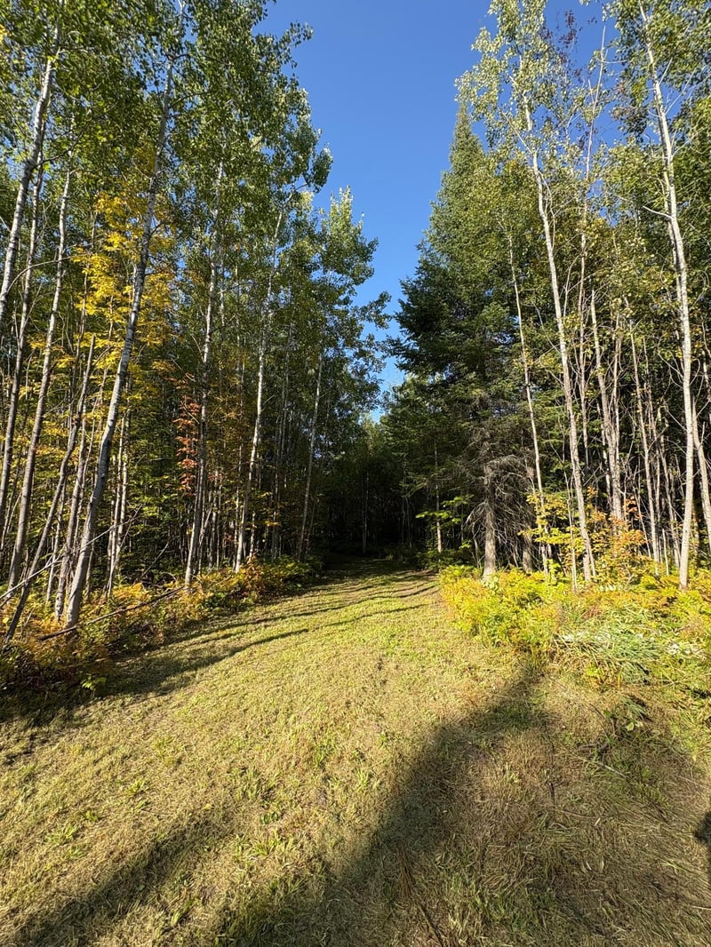 37139 Hanson Rd, Bigfork, MN 56628