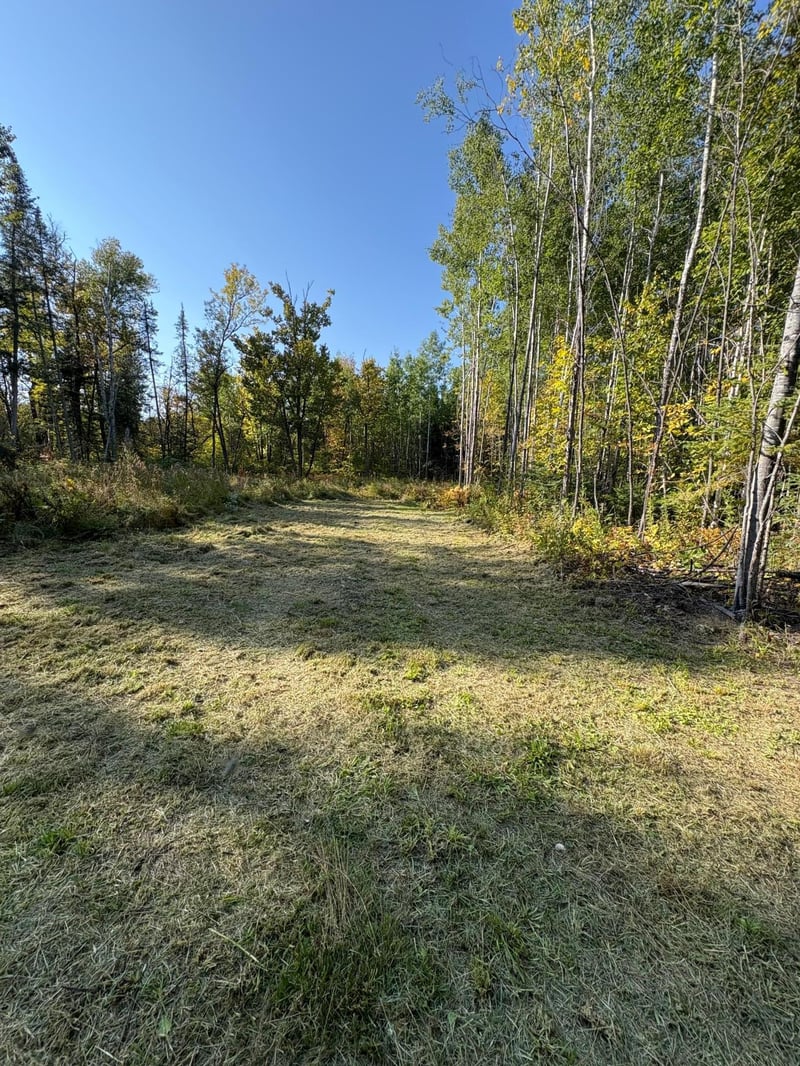 37139 Hanson Rd, Bigfork, MN 56628