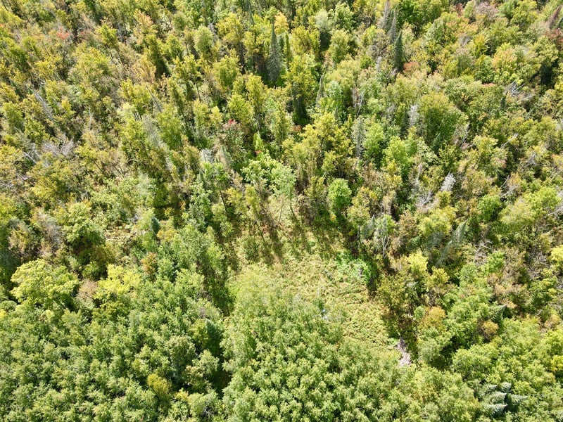 37139 Hanson Rd, Bigfork, MN 56628
