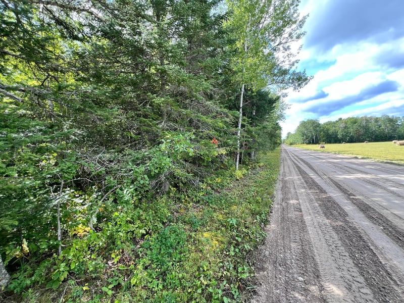 37139 Hanson Rd, Bigfork, MN 56628