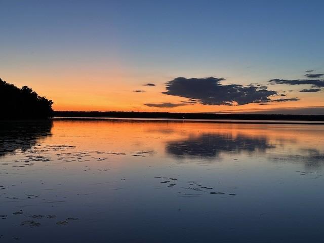44308 Idas Rd, Osage, MN 56570