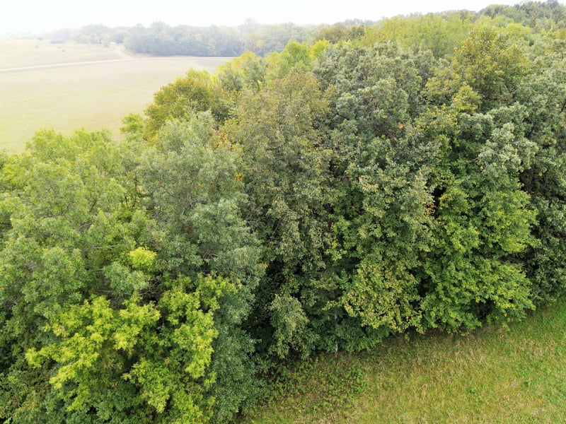 L2 B2 83rd St NE, Spicer, MN 56288