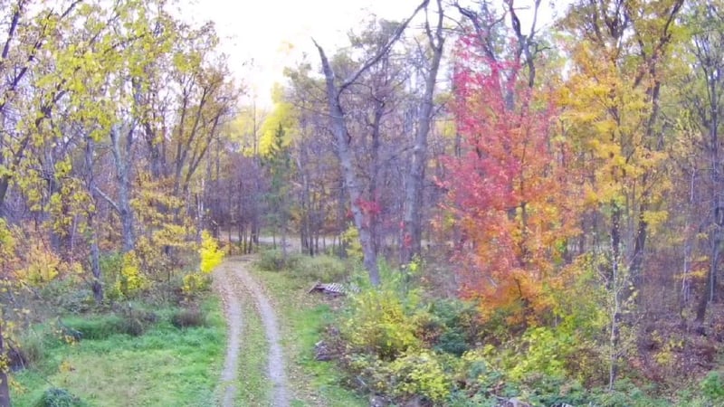 47802 Xylophone Rd, Garrison, MN 56450