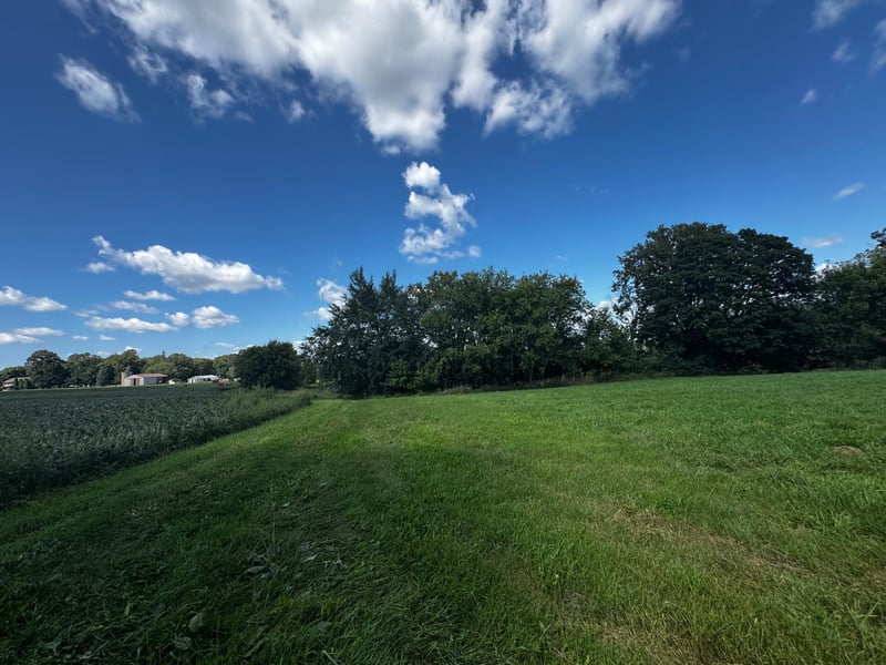 xx Balcony Rd, Swanville, MN 56382