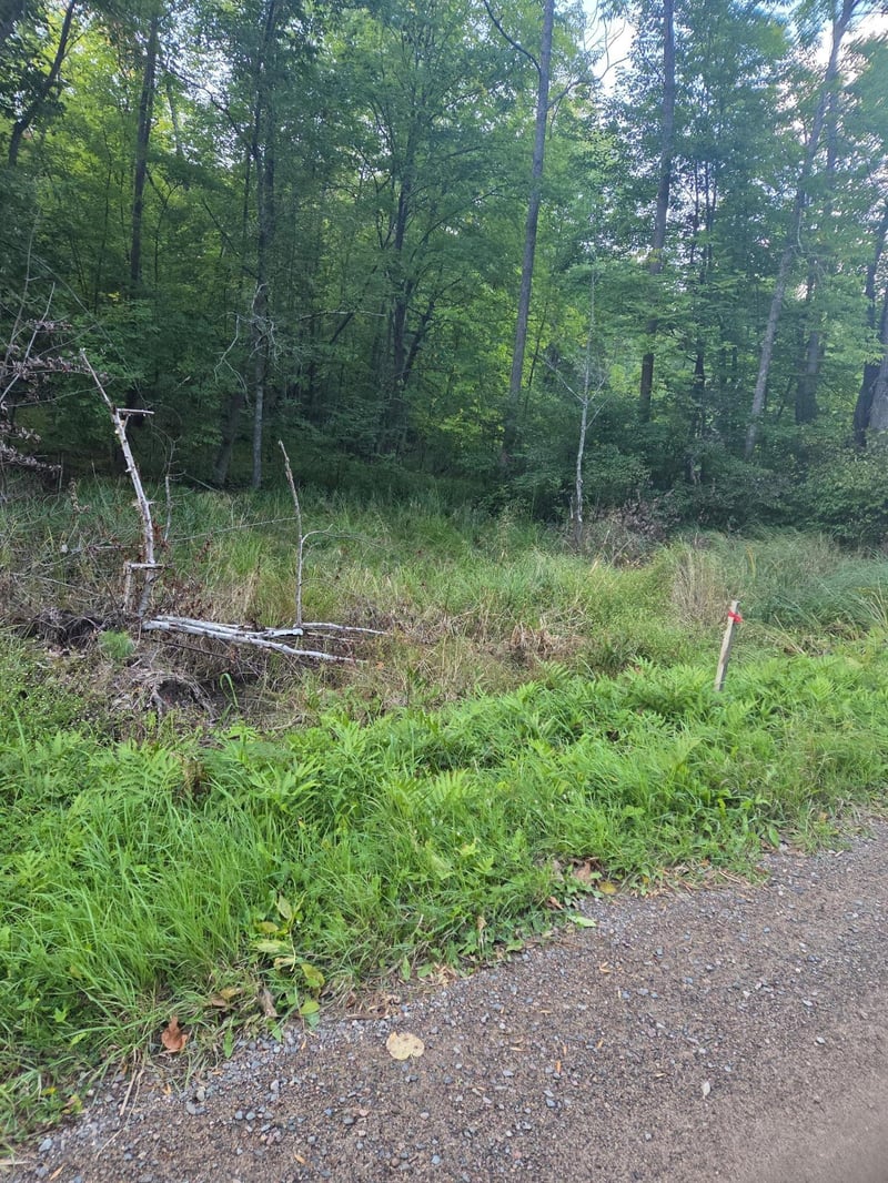 TBD 484th St, Mcgregor, MN 55760