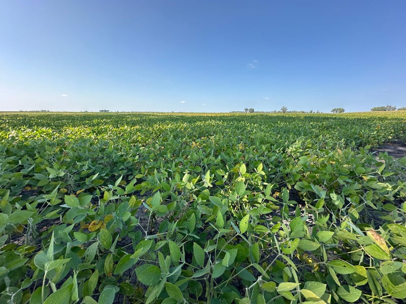 TBD County 8, Campbell, MN 56522