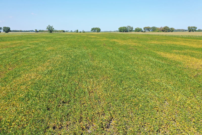 TBD County 8, Campbell, MN 56522
