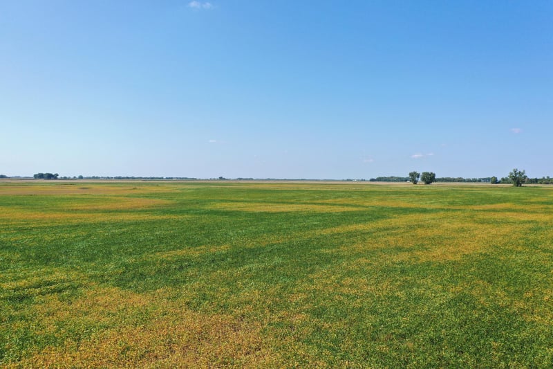 TBD County 8, Campbell, MN 56522