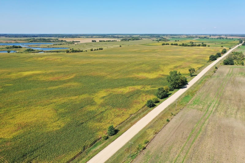 TBDxx 190th St, Battle Lake, MN 56515