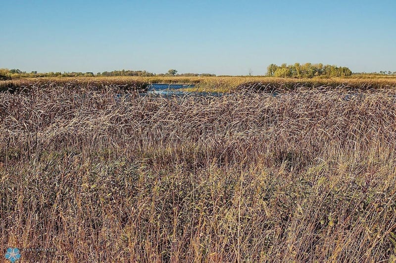 ----, Ulen, MN 56585