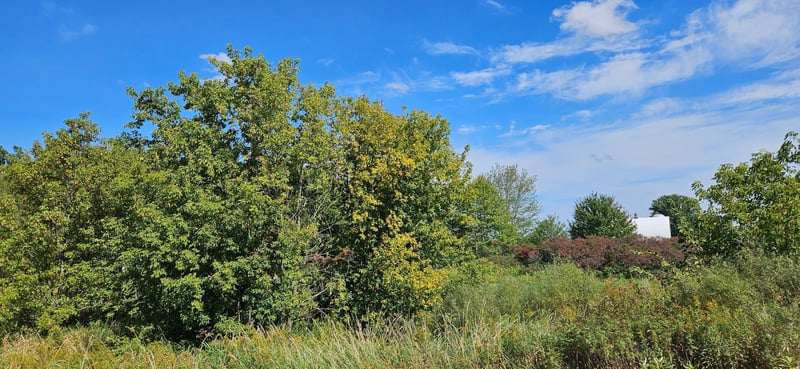 XXXX Hwy 70, Rock Creek, MN 55063